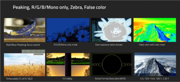 Swit S-1093F Luxus Kit, 2K/3G/HD/SD-SDI / HDMI Full HD Monitor, 450 Nits, ohne Akku-Platte