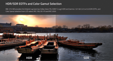 Swit BM-215-NDI, 21.5" 4K-NDI QLED HDR 100%DCI-P3 Zero-Delay professional FHD Monitor with Auto-Calibration