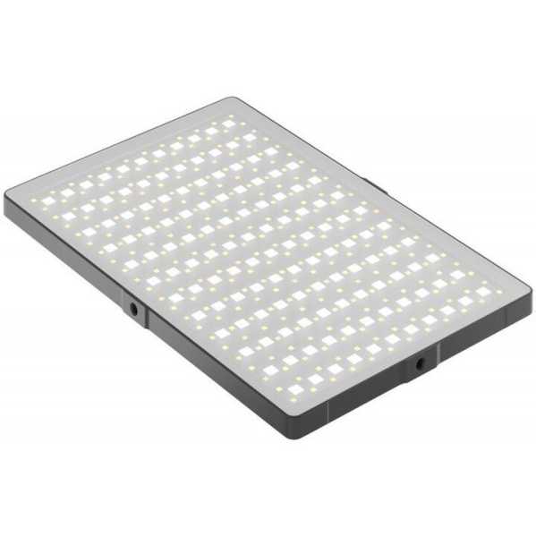 Newell RGB-W Rangha Max XL LED Leuchte, 24 W Leistung, vollständiger RGB-Farbraum, intergrierter Akku