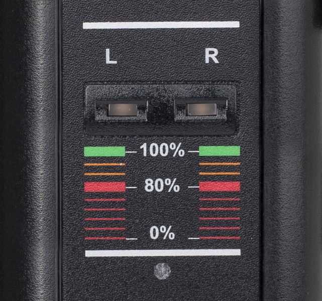 Swit S-3822A, 2-ch Gold Mount Fast Charger