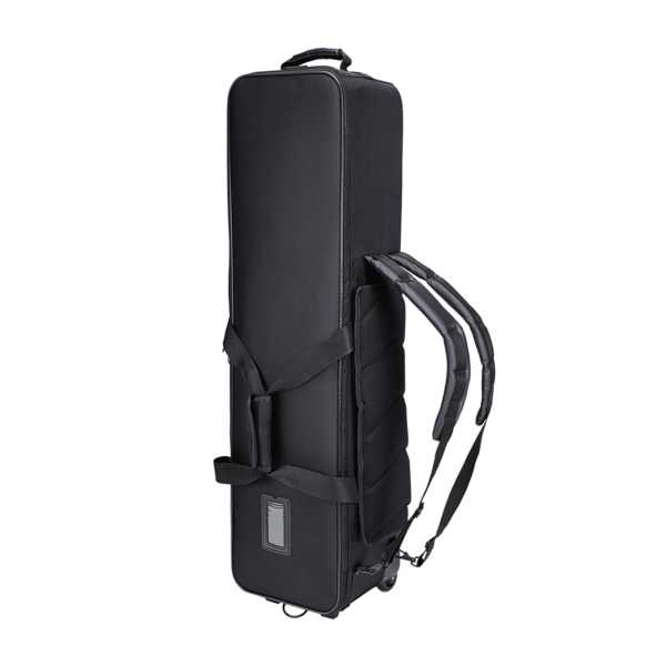 Camgear V25P EFP CF GS (100mm Bowl) EFP100/CF2 Carbon Fiber Tripod, Ground Spreader GS-2 & Tripod Bag